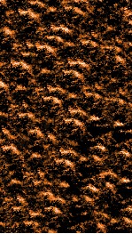 南菁书院丛书  六集第六种至第八种 封面