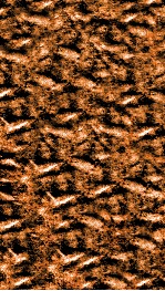 南菁书院丛书  八集第三种  易例辑略 封面