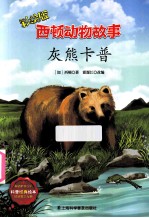 灰熊卡普  彩绘版 封面