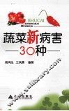 蔬菜新病害30种 封面
