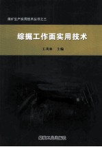 综掘工作面实用技术 封面