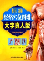 标准经络穴位图谱  大字真人版 封面