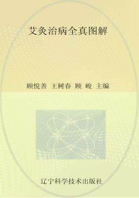 艾灸治病全真图解 封面