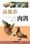 高效养肉鸽 封面