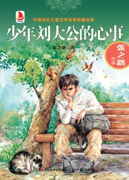 少年刘大公的心事 封面