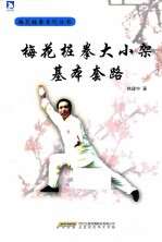 梅花桩拳大小架基本套路 封面