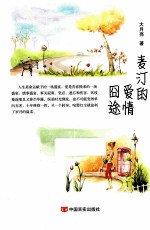 麦汀的爱情囧途 电子书封面