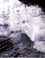 琉言·第一条 封面