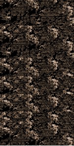 聱隅子  懒真子  广成子解 封面