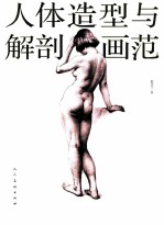 人体造型与解剖画范 封面