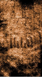 章氏丛书  荘子解故  管子馀义 封面