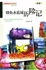 晓鱼水底城历险记 封面