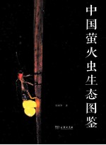 中国萤火虫生态图鉴 封面