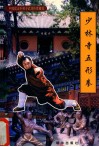 中国嵩山少林寺武功传世秘笈  少林寺五形拳 封面