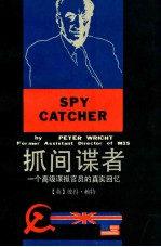 抓间谍者  一个高级谍报官员的真实回忆 电子书封面
