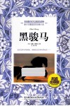 黑骏马  权威全译版 封面