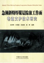 急倾斜特厚煤层综放工作面巷道支护技术研究 封面