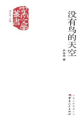 没有鸟的天空 封面