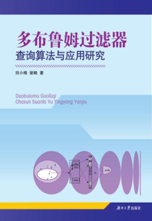 多布鲁姆过滤器查询算法与应用研究 封面