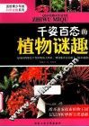 千姿百态的植物迷趣 封面