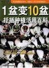 1盆变10盆  插插种植活用百科 封面