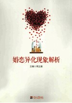 婚恋异化现象解析 封面