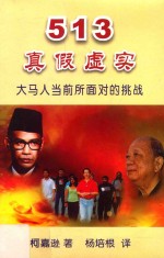 “513”真假虚实  大马人当前所面对的挑战 封面