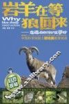 岩羊在等狼回来  走进自然保护区寻珍 封面