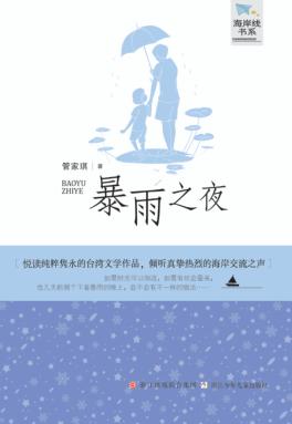 暴雨之夜 封面