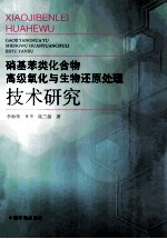 硝基苯类化合物高级氧化与生物还原处理技术研究 封面