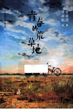 青春的荒草地 封面