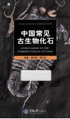 中国常见古生物化石 封面