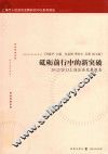 砥砺前行中的新突破  2012-2013上海区县发展报告 封面