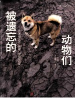 被遗忘的动物们  日本福岛第一核电厂警戒区纪实 封面