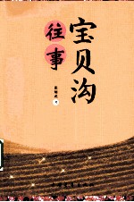 宝贝沟往事 封面