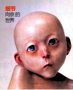 细节  向京的世界 封面