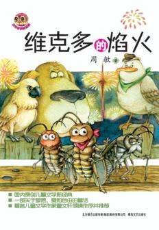 维克多的焰火 封面