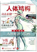 人体结构 封面