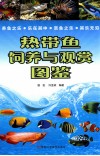 热带鱼饲养与观赏图鉴 封面