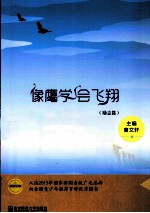 像鹰学会飞翔 封面