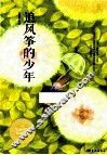 追风筝的少年 封面