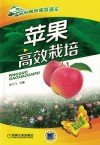 苹果高效栽培 封面