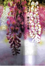 川端康成  藤花与草莓 封面