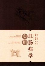 实用肛肠病学 封面