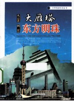 从大雁塔到东方明珠 封面