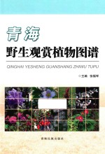 青海野生观赏植物图谱 封面