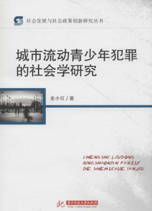 城市流动青少年犯罪的社会学研究 封面