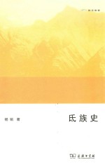 氐族史 封面