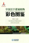 中国淫羊藿属植物彩色图鉴 封面
