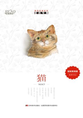 猫 封面